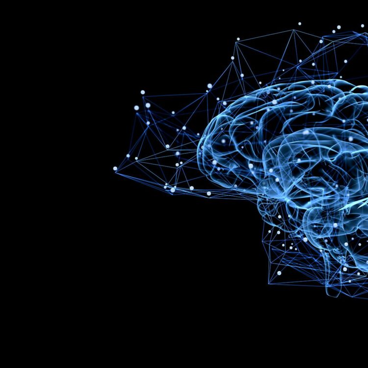 Digital illustration of a human brain with interconnected nodes and lines, symbolizing neural networks and real-time data analysis.